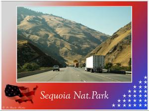 (1)-Sequoia