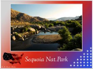 (2)-Sequoia