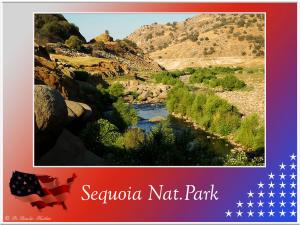 (3)-Sequoia