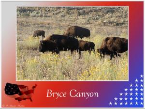 (89)-Brycecanyon