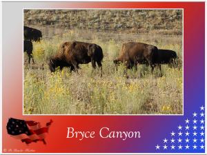 (90)-Brycecanyon