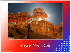 BryceNat-Park-2089 (1)