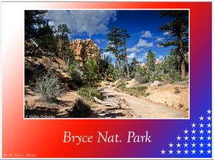 BryceNat-Park-2091 (1)