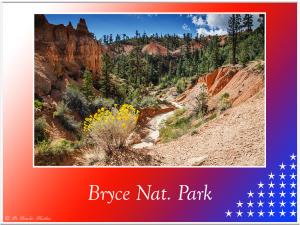 BryceNat-Park-2092 (1)
