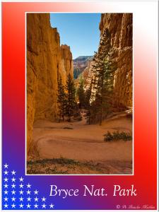 BryceNat-Park-2165 (1)