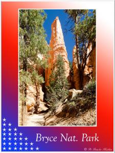 BryceNat-Park-2203 (1)